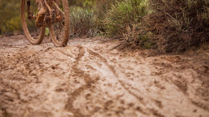 Dirt Diary